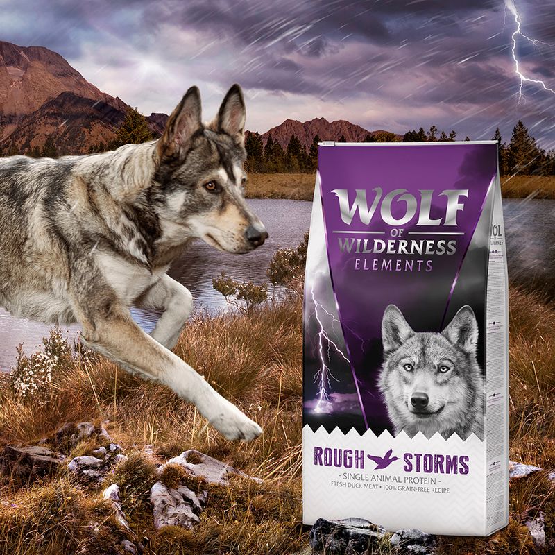 Wolf of Wilderness Sensitive Adult "Rough Storms" - Duck || Wolf of Wilderness || view 5