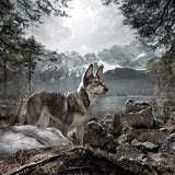 Wolf of Wilderness Dog Snack Bag || Wolf of Wilderness || view 6