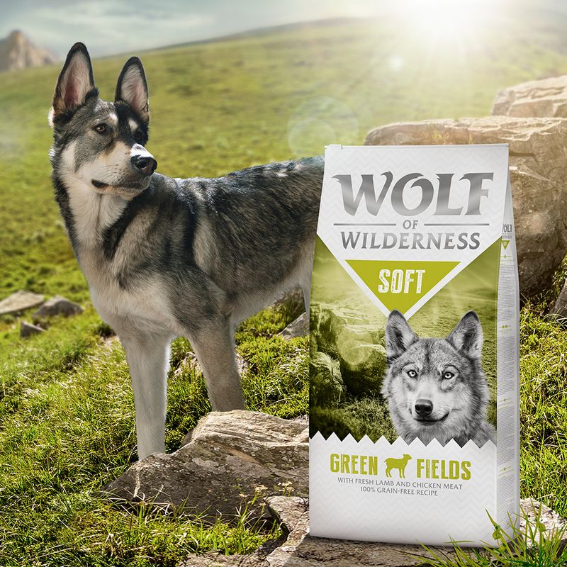 Wolf of Wilderness Soft "Green Fields" - Lamb || Wolf of Wilderness || view 5