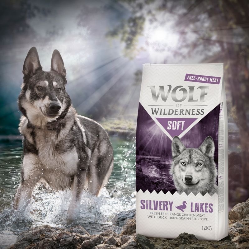 Wolf of Wilderness Adult Mini Soft "Silvery Lakes" - Chicken with Duck || Wolf of Wilderness || view 6