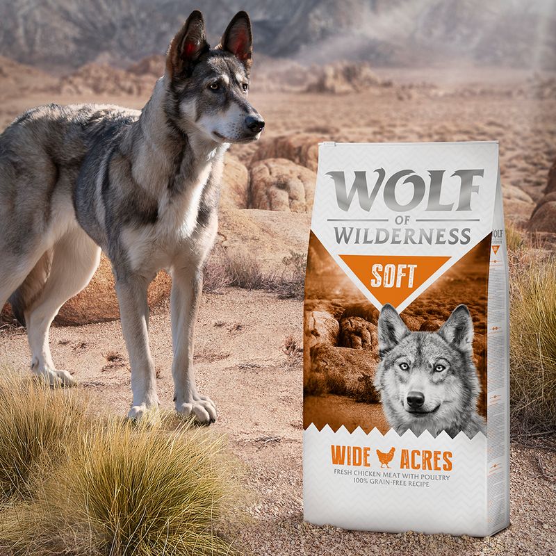 Wolf of Wilderness Soft "Wide Acres" - Chicken || Wolf of Wilderness || view 5