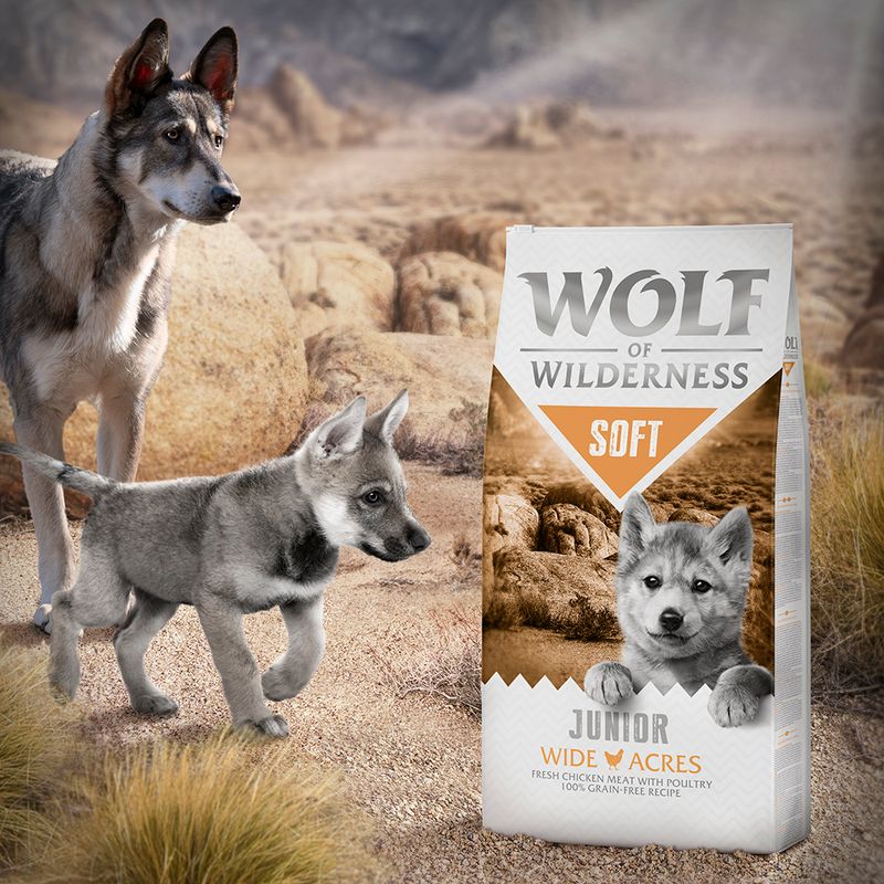 Wolf of Wilderness Junior Soft "Wide Acres" - Chicken || Wolf of Wilderness || view 4