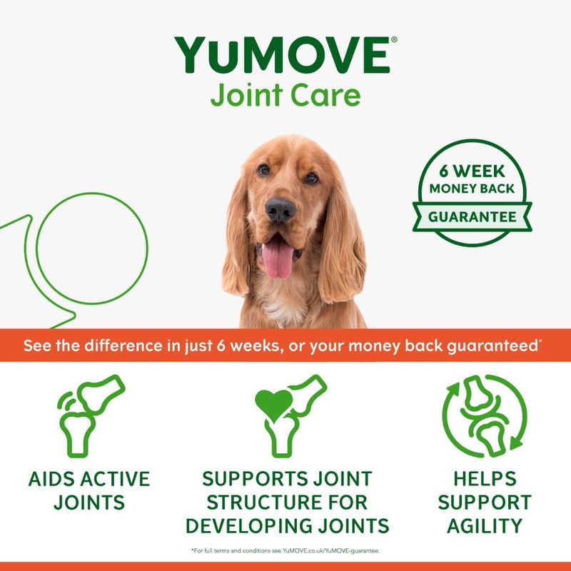YuMOVE Joint Care for Young Dogs || YuMOVE || view 6