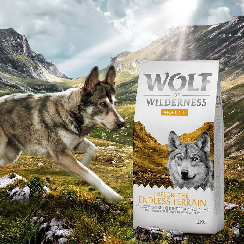 Wolf of Wilderness "Explore The Endless Terrain" - Mobility || Wolf of Wilderness || view 5