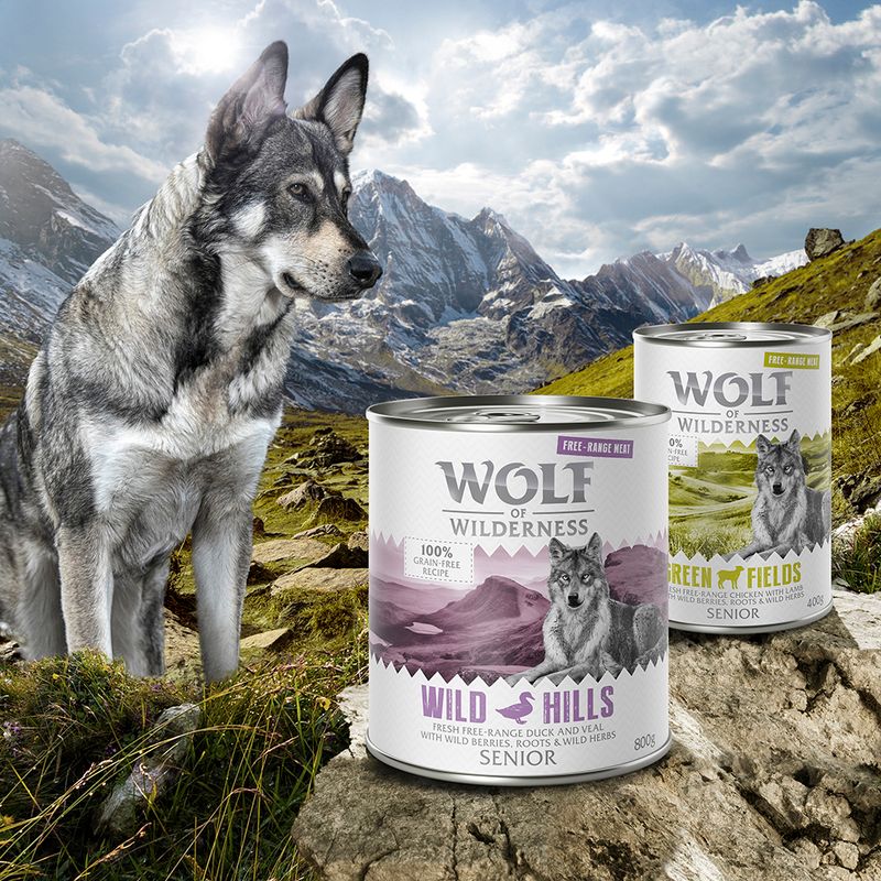 Wolf of Wilderness Senior "Free-Range" 6 x 800g || Wolf of Wilderness || view 4